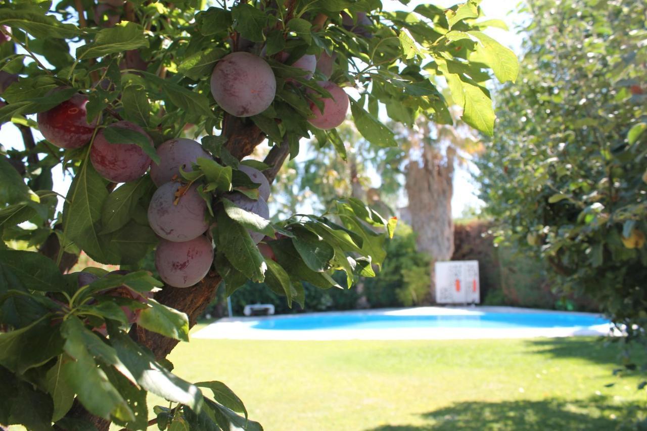 Lujan de Cuyo De Los Andes Hotel Boutique מראה חיצוני תמונה